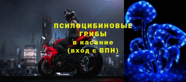 МДПВ Корсаков