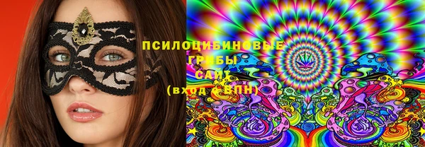 эйфоретик Анжеро-Судженск