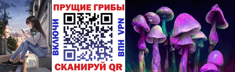 Псилоцибиновые грибы ЛСД  Боровичи 