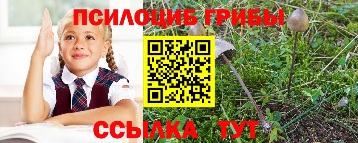 Псилоцибиновые грибы MAGIC MUSHROOMS Боровичи