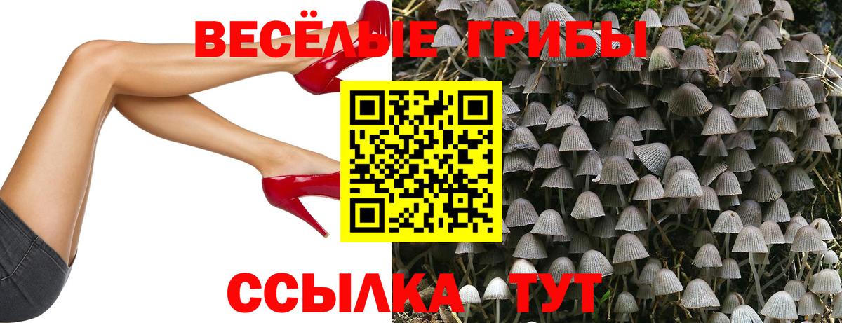 Псилоцибиновые грибы Magic Shrooms  Вход с VPN  Боровичи 