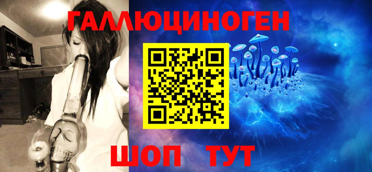Галлюциногенные грибы Cubensis Боровичи