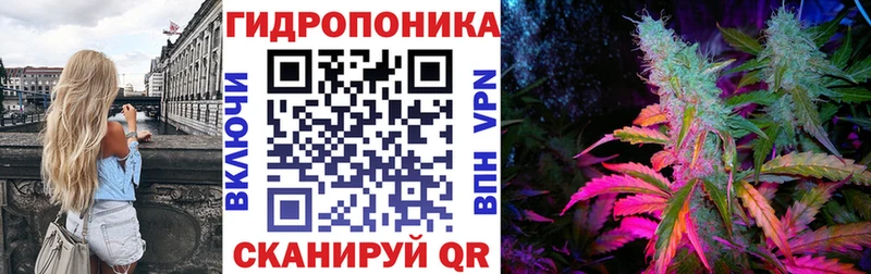 наркотики  shop телеграм  Конопля THC 21%  Боровичи  ОМГ ОМГ как зайти 
